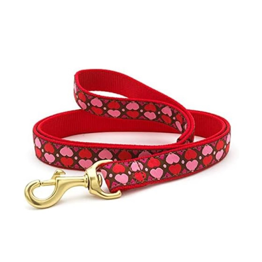 Up Country Valentine and Hearts Pattern Dog Leash, 4 Foot Long 1” Wide Width NWT